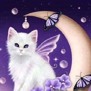 Meet your Posher, Cheryl